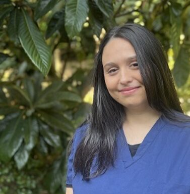 Team - New River Dental Enfield